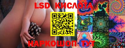 дживик Будённовск