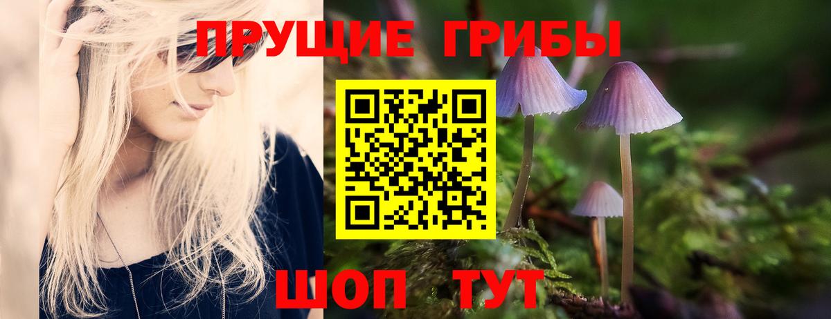 Псилоцибиновые грибы Psilocybe  Вход с VPN  Псилоцибиновые грибы мицелий  Лениногорск 